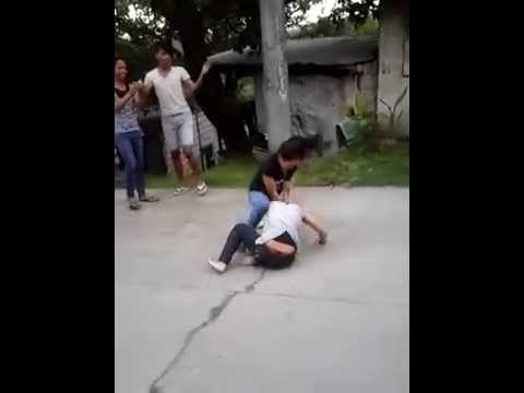 Chick Fight Vids